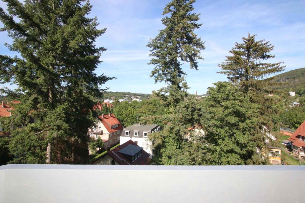 Fewo Amsbergstrasse Bad Harzburg Buitenkant foto